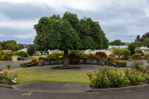 Eastgrove Village