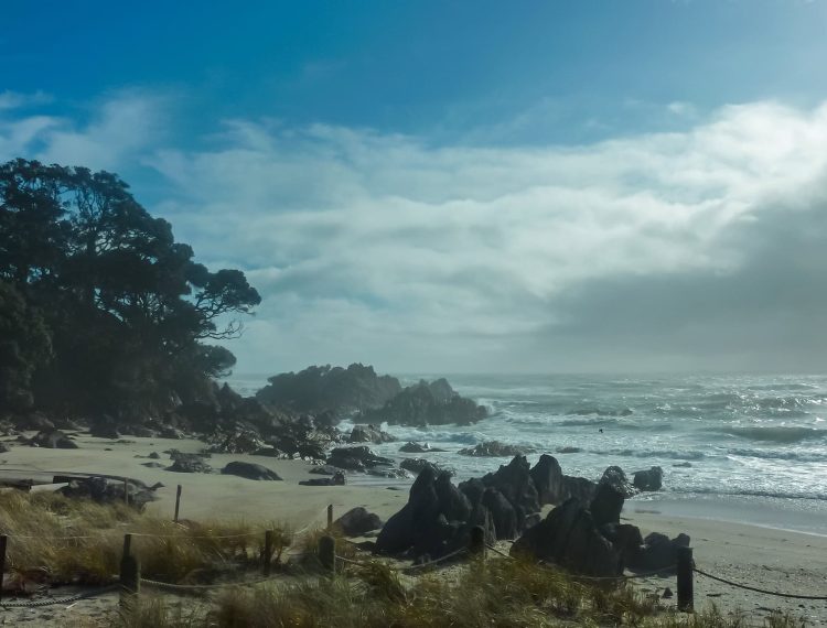 Karaka Pines Papamoa