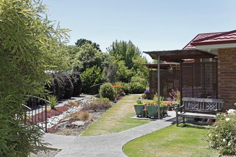 Kauri Lodge