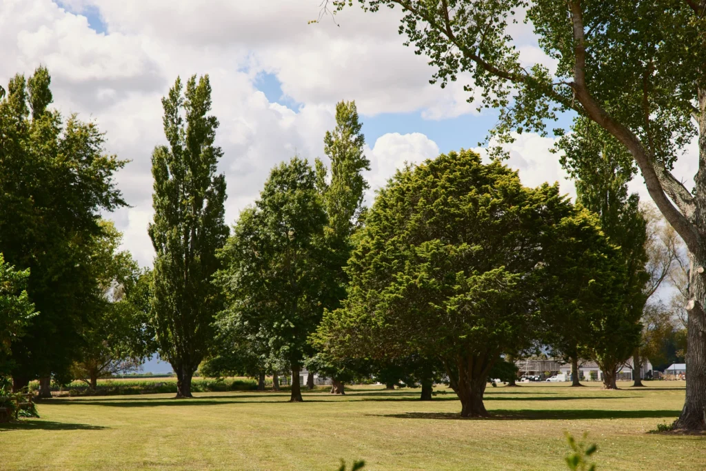 Matamata Country Club