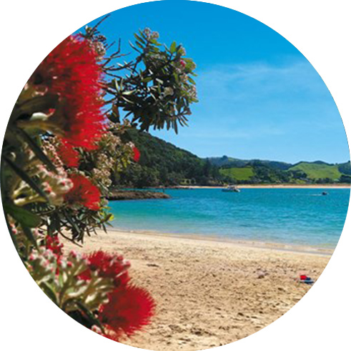 Ngunguru Retirement Village