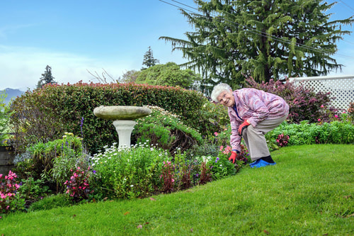 Stillwater Village