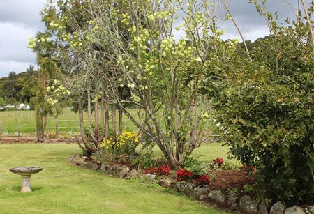 Stonehaven Retirement Village