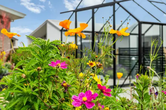 Vivid Living Karaka